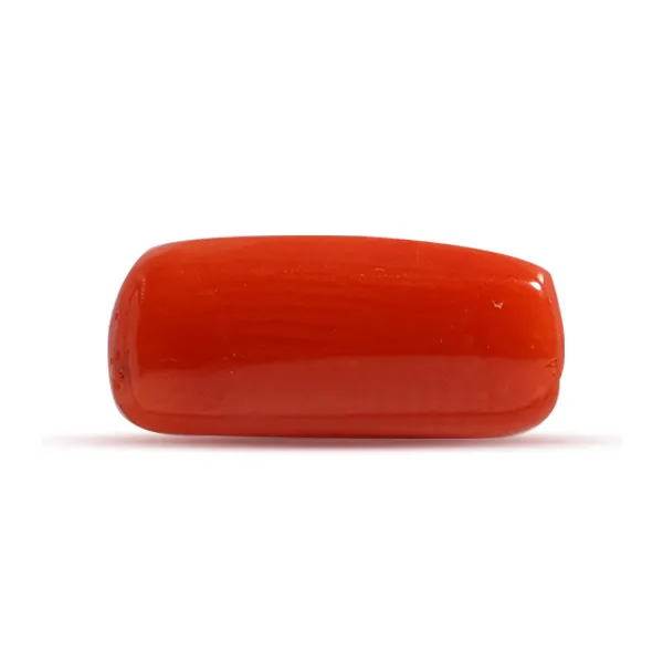 Red Coral - 2.07 carats