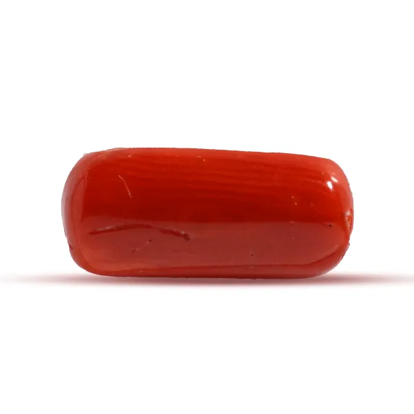 Red Coral - 2.29 carats