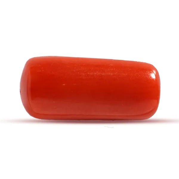 Red Coral - 2.46 carats