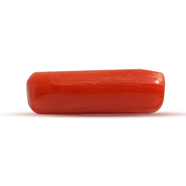 Red Coral - 2.48 carats