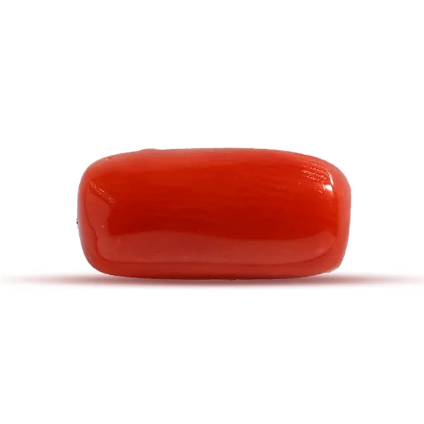 Red Coral - 2.71 carats