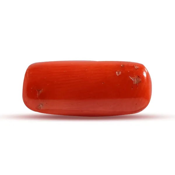 Red Coral - 2.75 carats