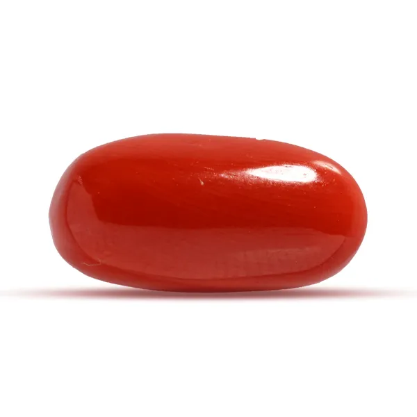 Red Coral - 6.71 carats