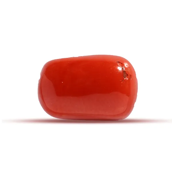 Red Coral - 6.9 carats