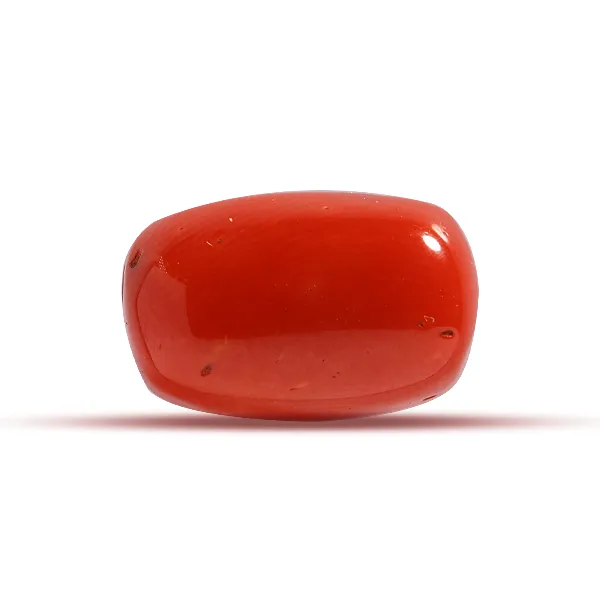 Red Coral - 7.02 carats