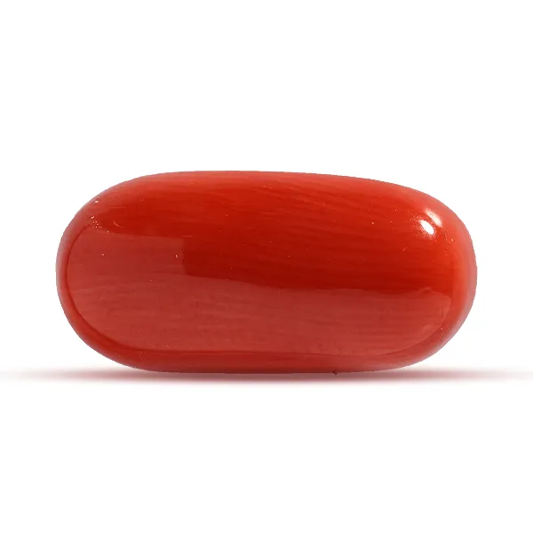 Red Coral - 7.06 carats